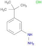 1-[3-(tert-Butyl)phenyl]hydrazine HCl