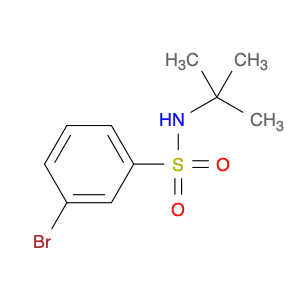 N-tert-Butyl 3-bromobenzenesulfonamide