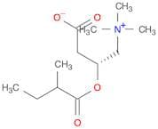 (3R)-3-((2-Methylbutanoyl)oxy)-4-(trimethylammonio)butanoate