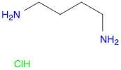1,4-Diaminobutane DiHCl