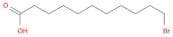 11-Bromoundecanoic acid