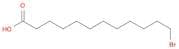 12-Bromododecanoic acid