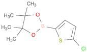 5-Chlorothiophene-2-boronic acid pinacol ester