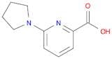 6-Pyrrolidin-1-ylpyridine-2-carboxylic acid