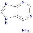6-Aminopurine
