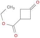 Ethyl 3-oxocyclobutanecarboxylate
