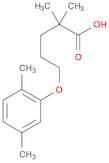 5-(2,5-Dimethylphenoxy)-2,2-dimethylpentanoic acid