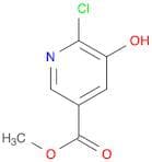 Methyl 6-chloro-5-hydroxynicotinate