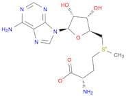 S-Adenosyl-L-methionine