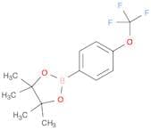 4-Trifluoromethoxyphenylboronic acid, pinacol ester