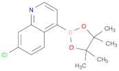 7-Chloroquinoline-4-boronic acid, pinacol ester