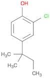 2-Chloro-4-(2-methylbutan-2-yl)phenol