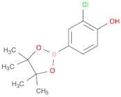 3-Chloro-4-hydroxyphenylboronic acid, pinacol ester
