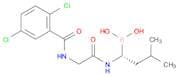 [(1R)-1-{2-[(2,5-dichlorophenyl)formamido]acetamido}-3-methylbutyl]boronic acid