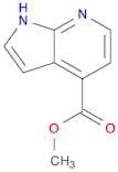 Methyl 1H-pyrrolo[2,3-b]pyridine-4-carboxylate