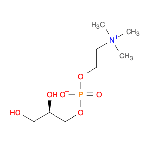 (2-{[(2R)-2,3-dihydroxypropyl phosphonato]oxy}ethyl)trimethylazanium
