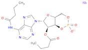Dibutyryl-cAMP sodium salt