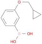 (3-(Cyclopropylmethoxy)phenyl)boronic acid