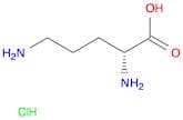 D-Ornithine mono, HCl