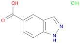 1H-Indazole-5-carboxylic acid hydrochloride