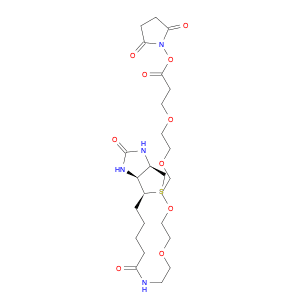 21-[(3aS,4S,6aR)-Hexahydro-2-oxo-1H-thieno[3,4-d]imidazol-4-yl]-17-oxo-4,7,10,13-tetraoxa-16-azahe…