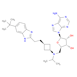 (2R,3R,4S,5R)-2-(6-Amino-9H-purin-9-yl)-5-((((lr,3S)-3-(2-(5-(tert-butyl)-lH-benzo[d]imidazol2yl)e…