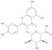 Quercetin 3-O-glucuronide
