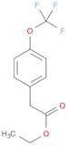 Ethyl 2-(4-(trifluoromethoxy)phenyl)acetate