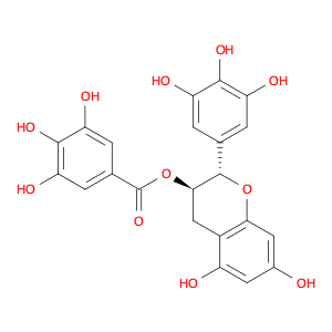 [(2S,3R)-5,7-DIHYDROXY-2-(3,4,5-TRIHYDROXYPHENYL)-3,4-DIHYDRO-2H-CHROMEN-3-YL] 3,4,5-TRIHYDROXYBEN…