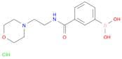 (3-((2-Morpholinoethyl)carbamoyl)phenyl)boronic acid hydrochloride