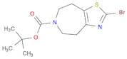 tert-butyl 2-broMo-4,5,7,8-tetrahydrothiazolo[5,4-d]azepine-6-carboxylate