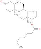 (5α,17β)-17-[(1-Oxoheptyl)oxy]androstan-3-one