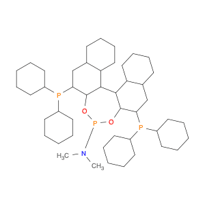(11bR)-2,6-Bis(diphenylphosphino)-N,N-dimethyldinaphtho[2,1-d:1′,2′-f]-1,3,2-dioxaphosphepin-4-ami…