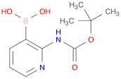 2-(t-Butoxycarbonylamino)pyridine-3-boronic acid
