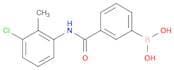 N-(3-Chloro-2-methylphenyl) 3-boronobenzamide