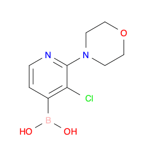 3-Chloro-2-Morpholinopyridine-4-boronic acid