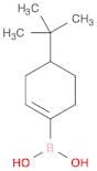 4-t-Butylcyclohexen-1-ylboronic acid