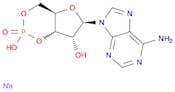 Adenosine-3',5'-cyclic monophosphate monosodium salt