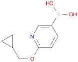 2-(Cyclopropylmethoxy)pyridine-5-boronic acid