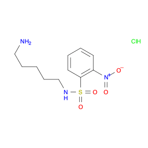 1-Amino-5-(2-nitrobenzenesulfonamido)pentane HCl