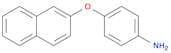 2-(4-Aminophenoxy)naphthalene