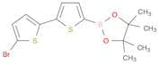 5'-Bromo-2,2'-bithiophene-5-boronic acid pinacol ester