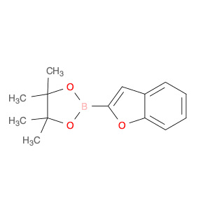 2-(Benzofuran-2-yl)-4,4,5,5-tetramethyl-1,3,2-dioxaborolane