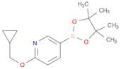 2-(CYCLOPROPYLMETHOXY)-5-(4,4,5,5-TETRAMETHYL-1,3,2-DIOXABOROLAN-2-YL)PYRIDINE