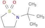 N-t-Butyl-1,3-propanesultam