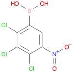 2,3,4-Trichloro-5-nitrophenylboronic acid