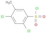 2,4-Dichloro-5-methylbenzene-1-sulfonyl chloride