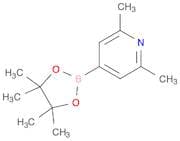 2,6-Dimethylpyridine-4-boronic acid, pinacol ester