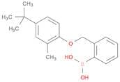 2-[(4'-tert-Butyl-2'-methylphenoxy)methyl]phenylboronic acid