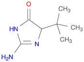2-amino-5-(1,1-dimethylethyl)-3,5-dihydro-4H-Imidazol-4-one
